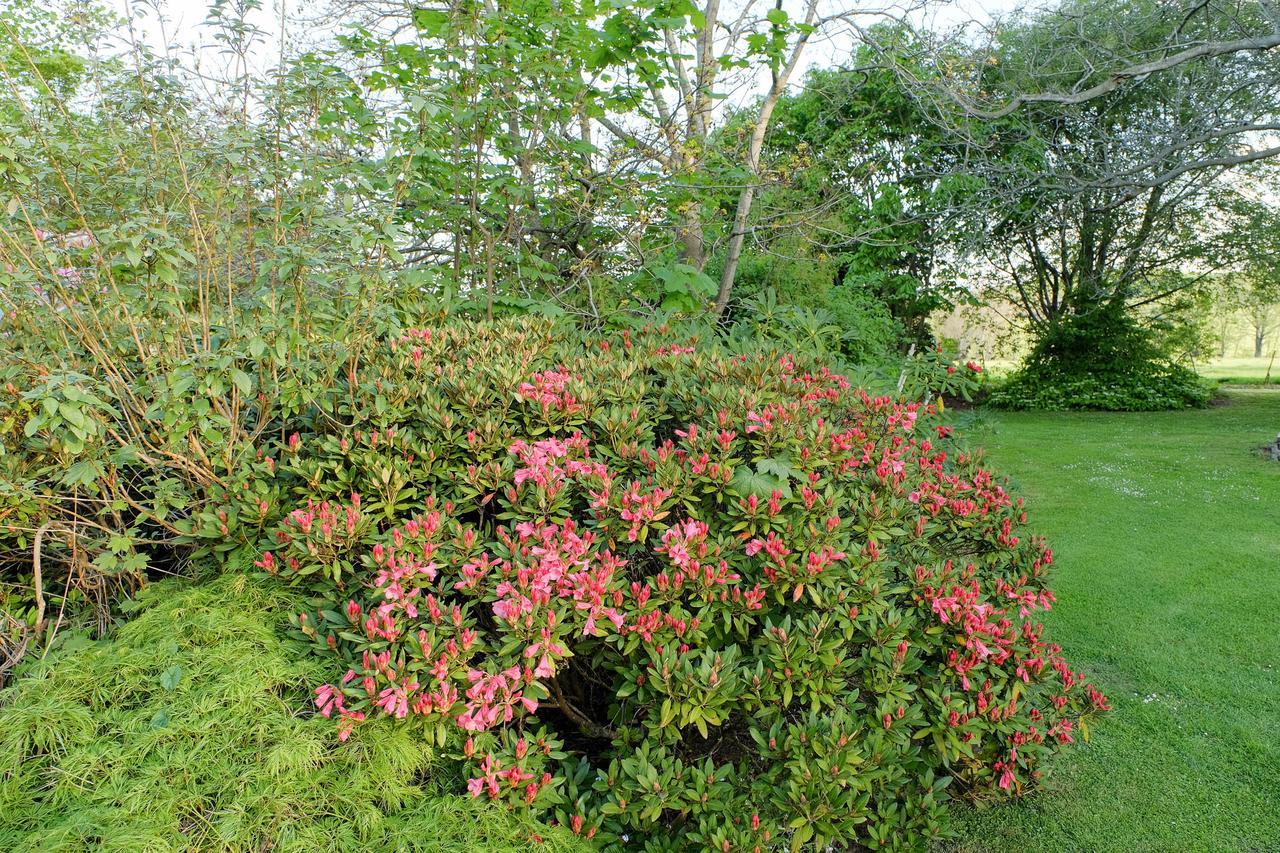 Waikonini Homestead Geraldine Kültér fotó